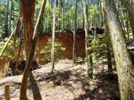 山に大規模な亀裂で応急対策へ　和歌山・古座川町平井