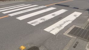 登校中の小学生がトラックにはねられ頭にけが　トラック運転できない免許を所持し赤信号無視した運転手の男（22）逮捕　埼玉・所沢市