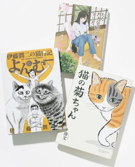 【猫漫画3選】猫好きさんと共有したい！可愛さにやられるオススメ作品