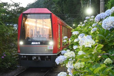 箱根「夜のあじさい電車」幻想的に　ライトアップ開始、見頃は１９日ごろ
