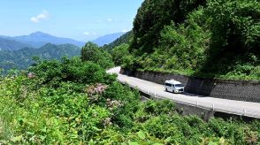 白山白川郷ホワイトロード全線開通　新緑の絶景ドライブ、山岳観光道路