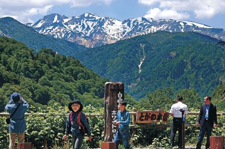 ホワイトロード、青空の全線開通　観光客ら白山麓満喫