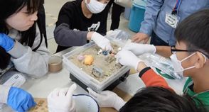 大学の実験室で液状化を体験　芝浦工業大学が小学高学年向けに公開講座「なぞとき土木実験」