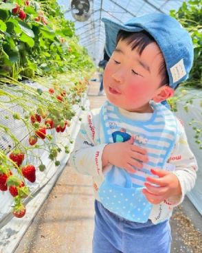 イチゴの味、顔満面に　JA全中が写真コンテスト　食と農の魅力発信