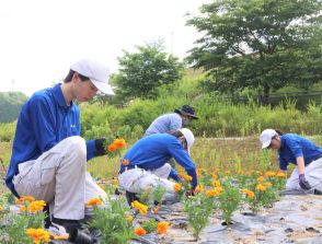 道の駅で風に揺れるマリーゴールド　京都・京丹波の地元グループと高校生が協力、植え付け