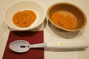 キリンのエレキソルトで減塩カレーを実食！　薄味がコクに変わる神秘を体験