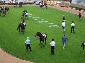 【函館6R新馬戦結果】リリーフィールドが6馬身差圧勝 新種牡馬モズアスコット産駒のJRA初勝利