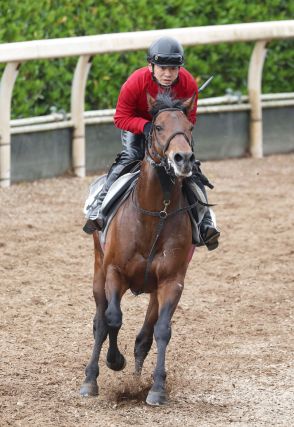 土曜メインレースの注目激走馬…京都１１Ｒ米子ステークス（Ｌ）