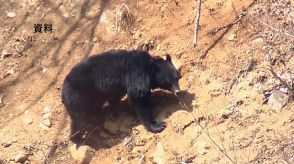 【クマ出没情報】阿武隈急行の線路法面にクマ1頭　伊達市梁川町　14日午後6時頃