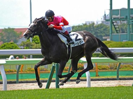 【函館新馬戦】ヴーレヴー　期待通りの走り！武幸師「勝ち切ってくれたことは大きい」