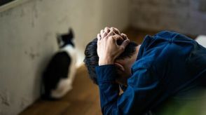 飼いネコの「胸のしこり」放置で起きていた“悲劇”　9割は予防可能、知っておきたい「ネコの乳がん」のこと