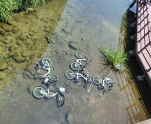 ソウルのシェア自転車、無残な姿…川に投げ捨てられた6台、警察が捜査