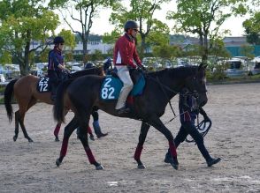 【今日の注目新馬】ワイドルブッダー年長馬と互角の動き　日比野助手「新馬向き」／函館５Ｒ