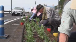 海岸沿線の約６８００本の花植え替え　観光客増える夏休みを前に　三重・熊野市