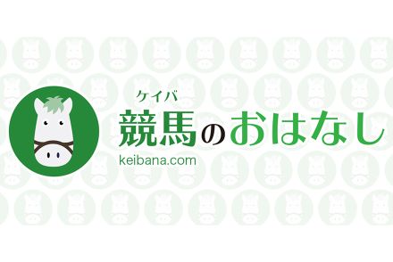 【新馬/京都5R】バゴ産駒 トータルクラリティがデビュー勝ち