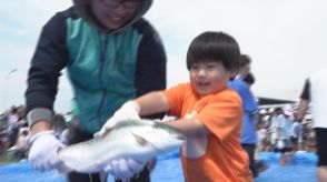 旬を迎えた海峡サーモンをつかみ取りに一本釣り!大畑海峡サーモン祭り賑わう　青森・むつ市