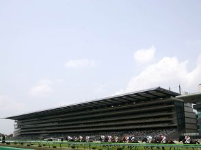 【スレイプニルS結果】メイプルリッジが差し切りオープン初勝利