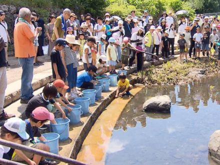 環境を守ろう　地元住民が清掃と鮎放流　岐阜市の清水川