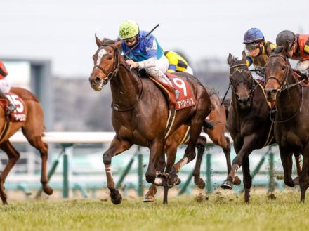 【先週のJRA抹消馬】AJCC覇者アリストテレス、芝短距離で活躍のカイザーメランジェなど