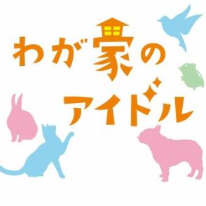 ［わが家のアイドル］カニにビビりながらも…