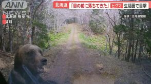 「馬鹿にしているのか」ヒグマ駆除　町と猟友会が交渉決裂「高校生のバイト以下」