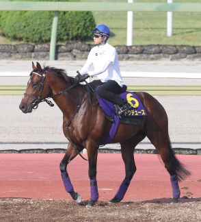 【宝塚記念】ドウデュース　有馬に続くグランプリ連覇へ「いよいよ競走馬の体つきに」大江助手