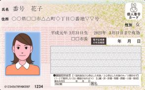 「日給は1万7000円」「毎月600枚から1800枚偽造した」　マイナカードを偽造していた中国人女性が明かした手口