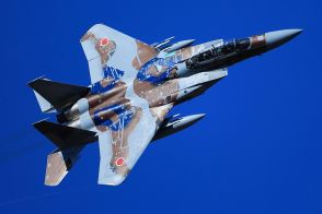「空自エリート部隊」に新たなF-15戦闘機が登場！独特の “新迷彩”が初公開 任務は「敵役」