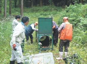 クマ出没多発の富山県立山町、捕獲おり設置