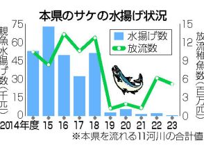 サケ水揚げ、最少378匹　福島県内11河川...温暖化、台風影響か
