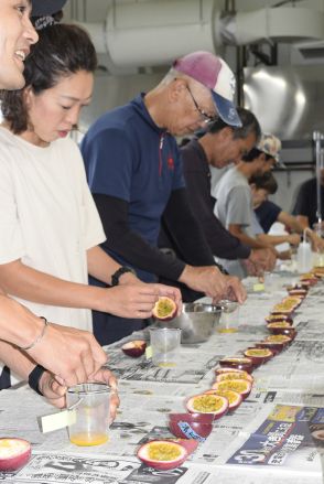 鹿児島県・瀬戸内町産パッション　糖度高く「品質良好」　産地協が果実分析検討会
