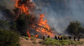 ＬＡ近郊の山火事、焼失面積は６０平方キロ超　１２００人が避難