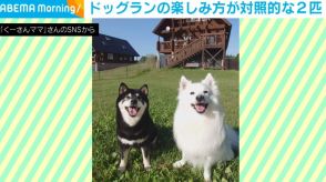 対照的な2匹の犬 ドッグランで“食う寝る遊ぶ” 自由奔放な姿に飼い主「楽しみ方は犬それぞれ」