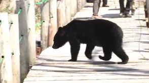 クマに襲われ新聞配達の女性が大けがした現場周辺の茂みや電気柵の状態をチェック…出没のおそれある場所の集中点検始まる、7月にかけ県内全域で実施