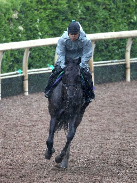 【宝塚記念】カラテ　状態は変わらず、音無師「距離が延びるのはどうか」