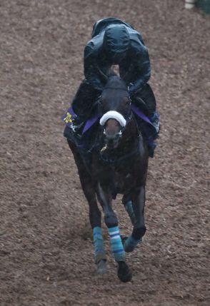 【宝塚記念】ブローザホーン　自信満々の出来、吉岡師「体幹のブレが少ない」