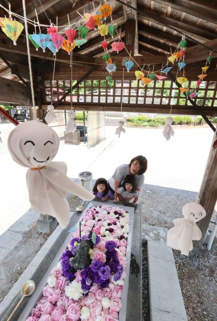 「そろそろ梅雨でも気持ち明るく」てるてる坊主にシャクヤクの花　温泉の町を彩る旅館おかみの思いとは