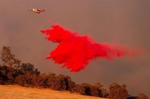 米山火事、強風で急拡大　西部中心に２９件発生