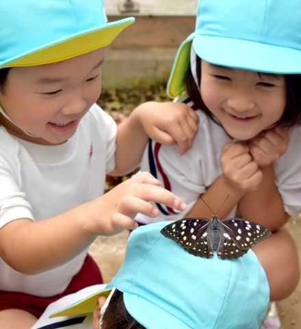 幼稚園児たちがオオムラサキを観察にお出かけ　京都府福知山市