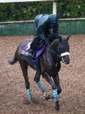 【宝塚記念】ブローザホーン、道悪も問題なし　吉岡師「ソフトな馬場の方がいい」