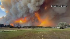 米西部ニューメキシコ州で大規模山火事　空を煙が覆いつくす