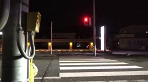 「信号機を見落とした」青信号を渡っていた小３女児が軽ワゴン車にはねられ負傷　運転手を現行犯逮捕