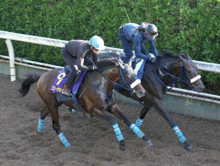 【宝塚記念】ブローザホーンが菅原明良騎手騎乗でシャープに反応　「いつもとてもいい状態に仕上げてくれる」