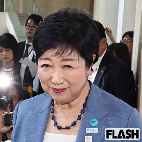 「いかにもウソっぽい」3選出馬の小池都知事「無痛分娩費用助成」「保育料無償第1子から」に“まさかの”子育て世代から猛批判