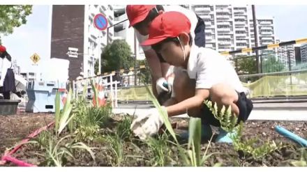 街なかスタジアム「Ｅピース」横に公園広場　小学生が花の苗を植える　８月オープン予定　