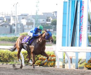 【地方競馬】レモンポップが横綱相撲の走り４つ目のビッグタイトルをゲット