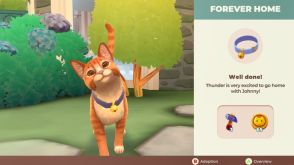 野良猫を世話するシミュレーションゲーム『Cat Rescue Story』が9月26日に発売決定。野良猫を保護するセンターで猫の健康に責任を持ちつつ最適な里親が見つかるまで世話するのが目的