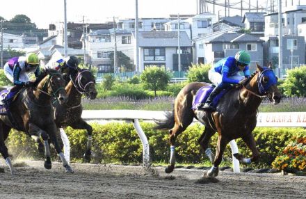 【浦和・さきたま杯】レモンポップ　国内無敵!強豪イグナイター、シャマル完封で重賞5V