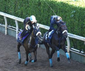 【宝塚記念】ブローザホーン　坂路併せ馬で4F54秒8　菅原明は満足顔「いい状態」