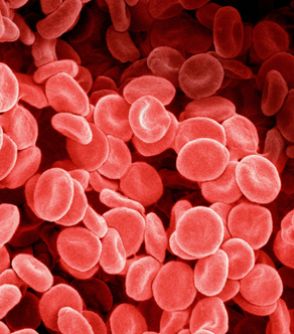 健康診断の数値から計算したら、凄すぎた…からだの中にある「赤血球の本当の数」…なんと、超単位で違ってくる「ハンパない個人差」